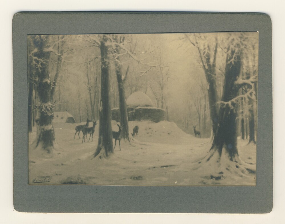 Herten in de sneeuw bij boerderijachtige gebouwen